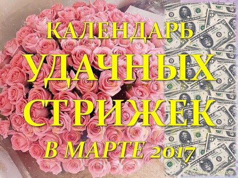 СТРИЖКИ В МАРТЕ 2017 г.