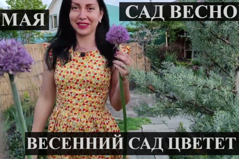 (3 мая) САД ВЕСНОЙ | ВЕСЕННИЙ САД ЦВЕТЕТ |  РЕДКИЕ растения в саду | Прогулка по саду