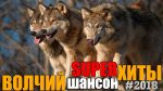 Волчий Шансон 2 — Супер хиты русского шансона