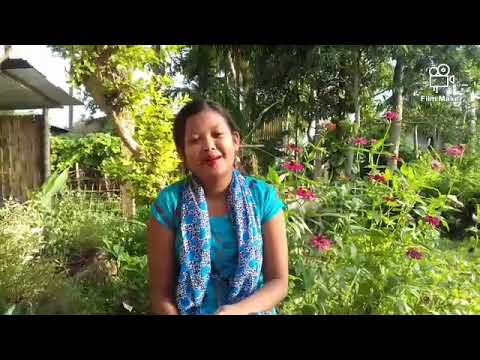 মোৰ মৰমৰ ফুলনিৰ এক দৃশ্য। My garden tour । All in one with Madhu.